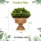 Artificial Mini Potted Plants 4 Pack Faux Decorative Plants Green Brown